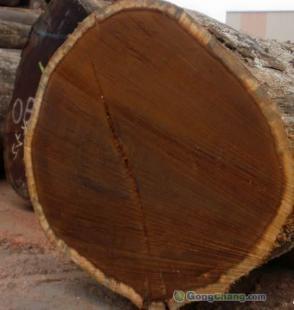 供應非洲菠蘿格防腐木地板、菠蘿格報價_建筑建材_世界工廠網中國產品信息庫